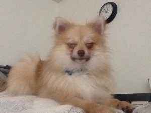 Nimitz - 2013 - 01 02