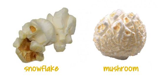 popcorndotorg popcorn shape